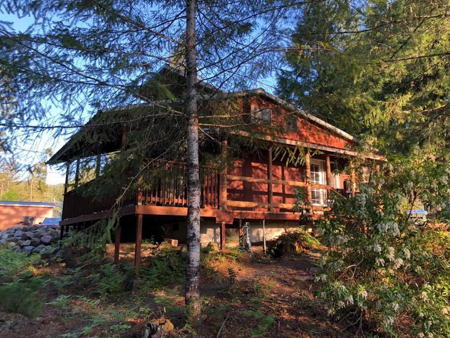 The Cabin In Packwood Exteriér fotografie